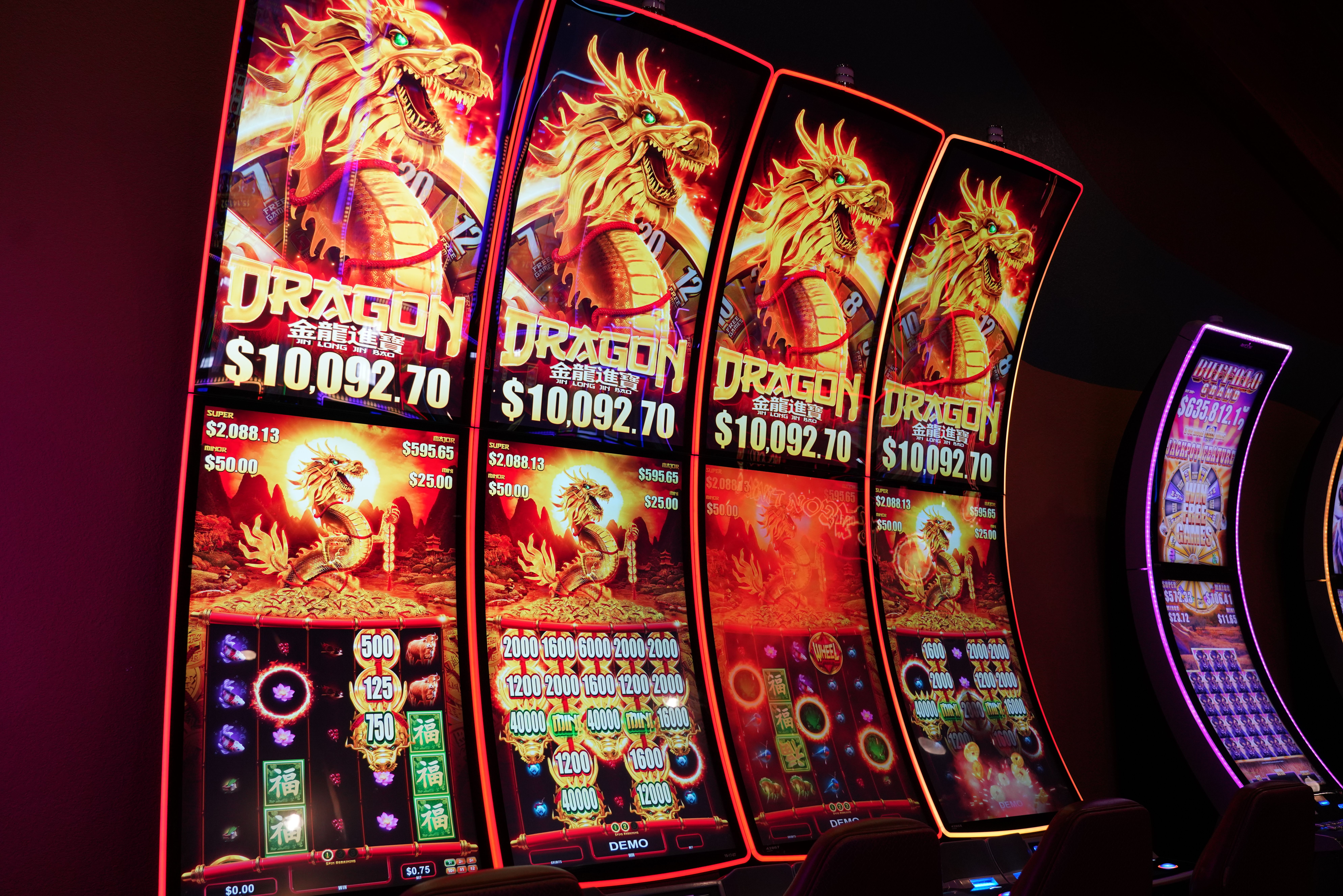 Soft forest light through trees